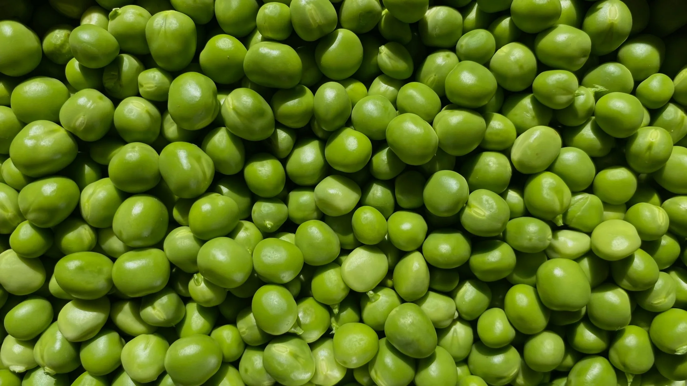 Pèsols verds congelats per a hostaleria